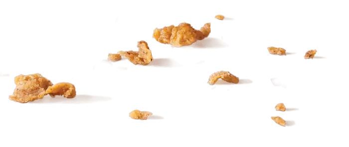 nothing to find here